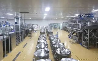 徐之偉 以木匠之心雕琢健康生活之美