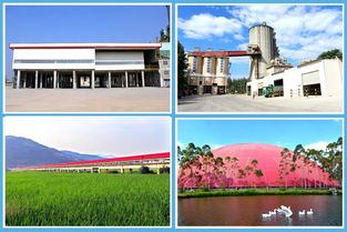 海螺 讓綠色成為發(fā)展主色調(diào)，環(huán)保節(jié)能技術(shù)開(kāi)發(fā)的探索與實(shí)踐